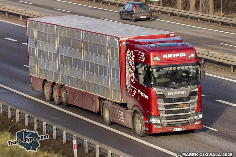 Scania S450 - Mięspol.jpg