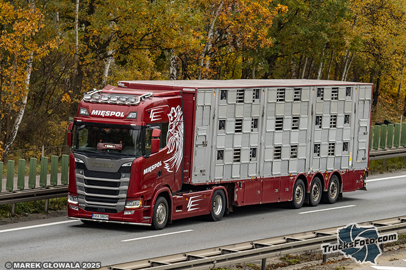 Scania S500 - Mięspol.jpg