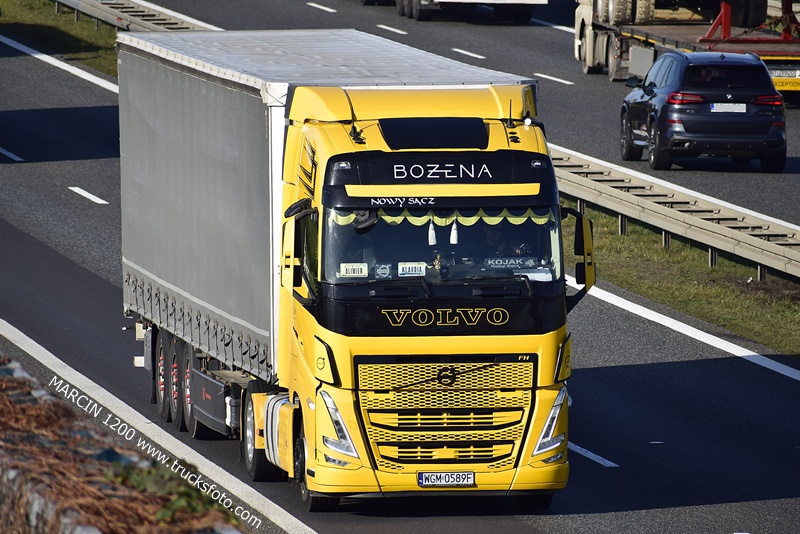 _DSC3932 Bożena-crop-VOLVO FH5.JPG