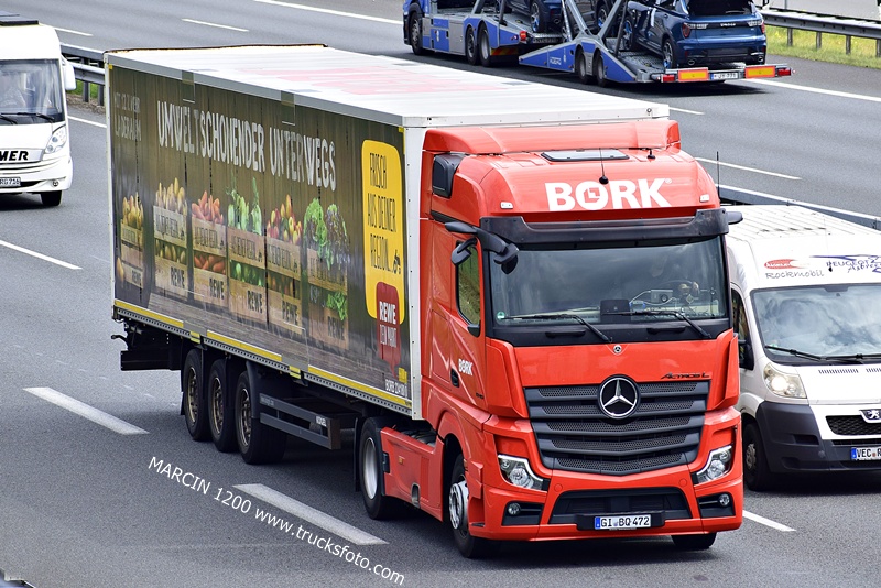 _DSC9121 BORK-crop-ActrosL MP5.JPG