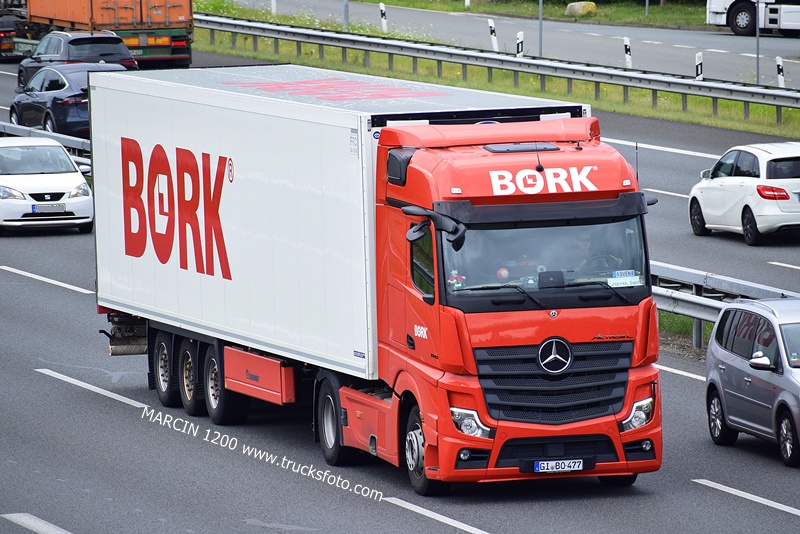 _DSC9500 BORK-crop-ActrosL MP5.JPG