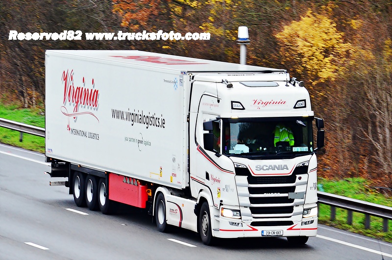 DSC_1421 Virginia.JPG