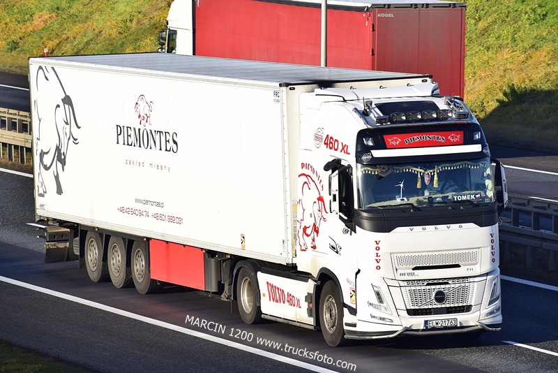 _DSC6989 Piemontes-crop-VOLVO FH AERO.JPG