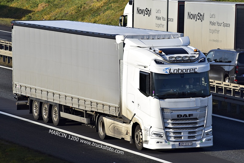 _DSC7165 LOBOREC-crop-DAF XG.JPG