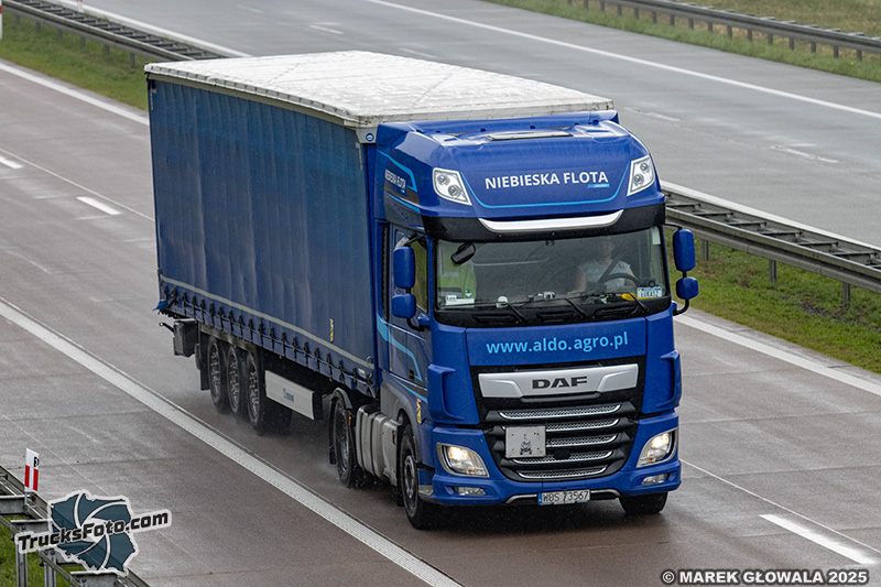 DAF - Niebieska flota.jpg