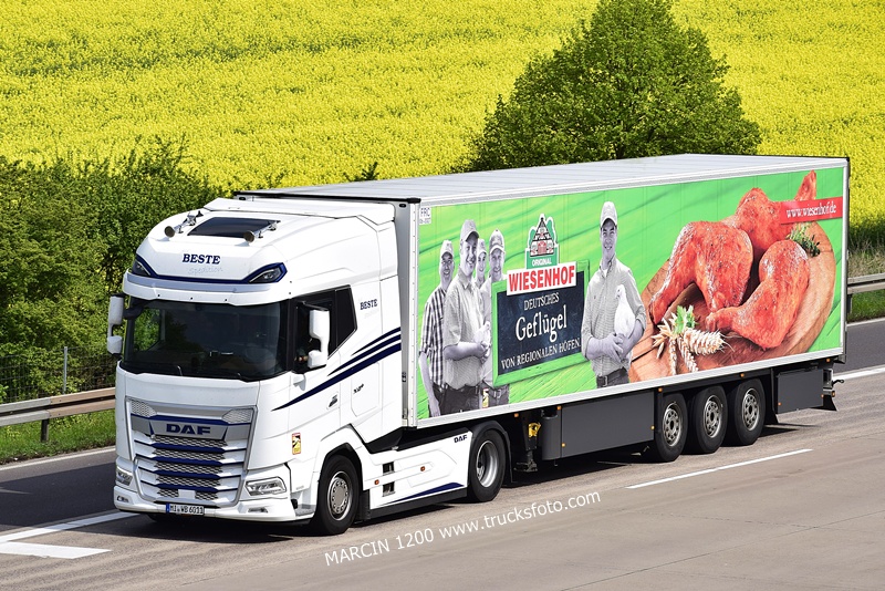 _DSC4865 BESTE SPEDITION-crop-DAF XG+.JPG