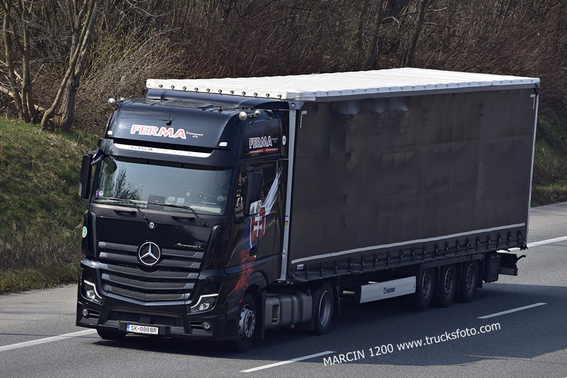 FERMA-crop-ActrosL mp5.JPG