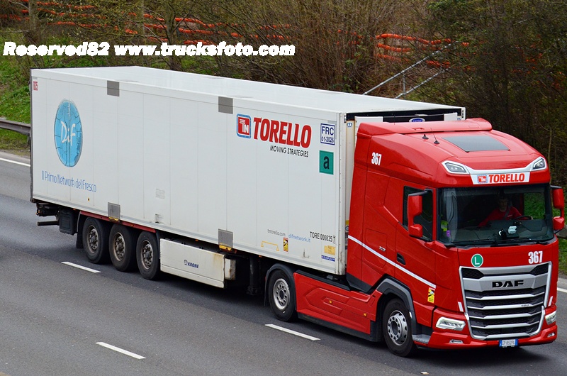 DSC_1544  Torello.JPG