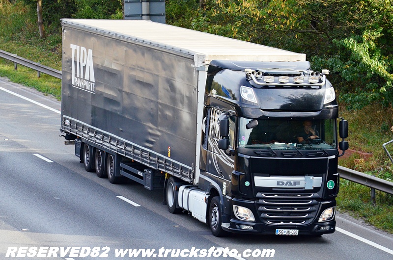 DSC_4346 Tipa Transporte.JPG