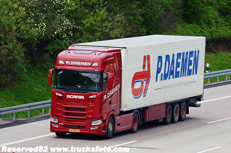 DSC_0034 P.DREMEN NL.JPG