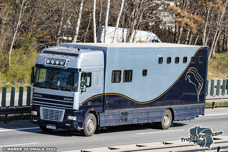 DAF 95XF transport koni.jpg
