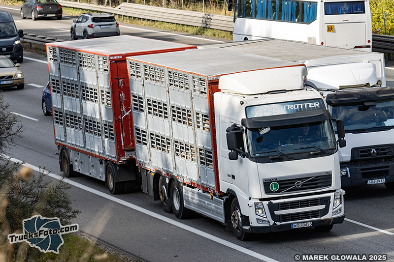 Volvo FH3 żywiec.jpg