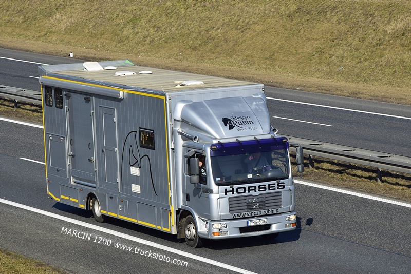 _DSC4701 KONIE-crop-MAN TGA.JPG