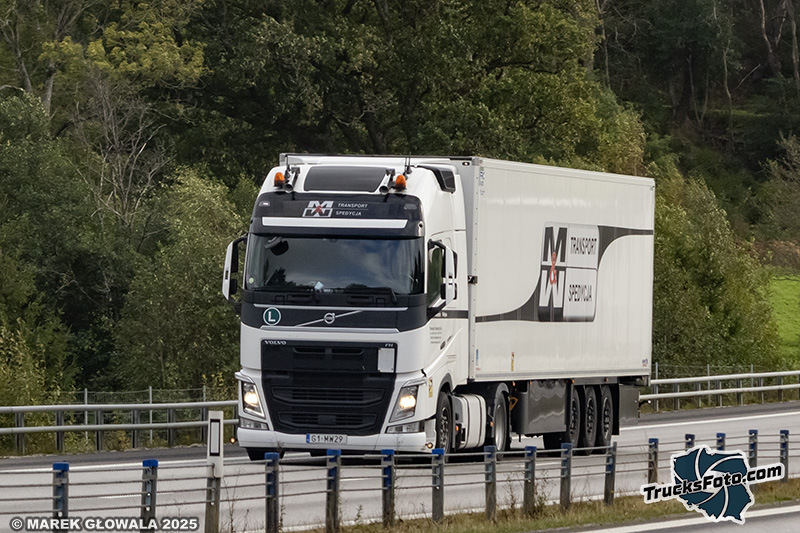 Volvo FH4 - MW.jpg