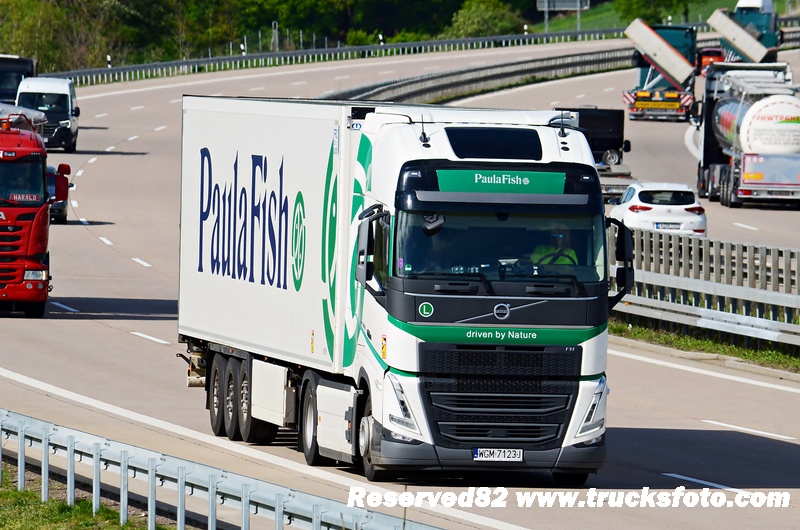 DSC_4807 PAULAFISH.JPG