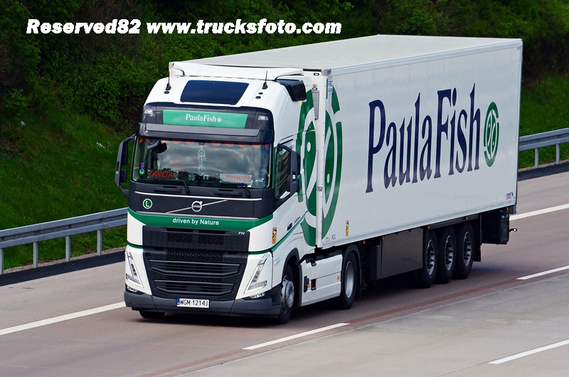 DSC_0095 PAULAFISH.JPG