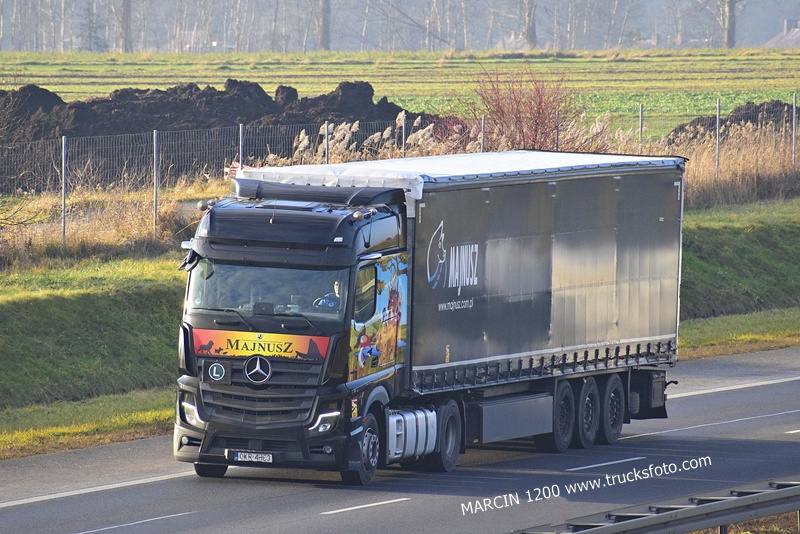 _DSC8929 MAJNUSZ-crop-ActrosL MP5 - KRÓL LEW.JPG