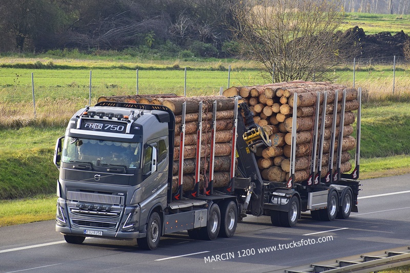 _DSC5765 DREWNO-crop-VOLVO FH16 750.JPG