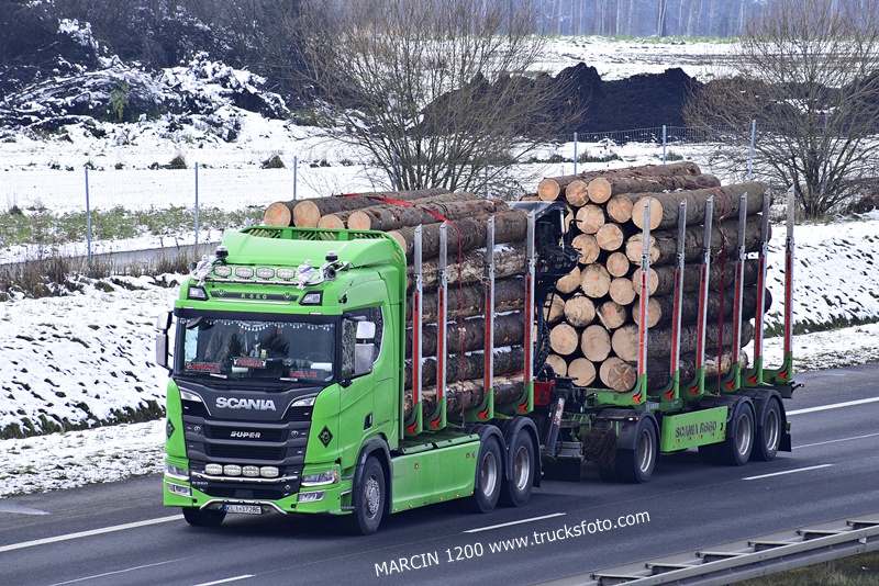 _DSC6213 DREWNO-crop-SCANIA R660 V8.JPG