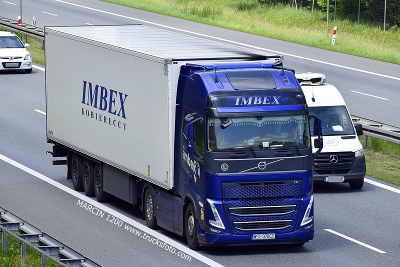 _DSC00011 (890) IMBEX-crop-VOLVO FH5.JPG