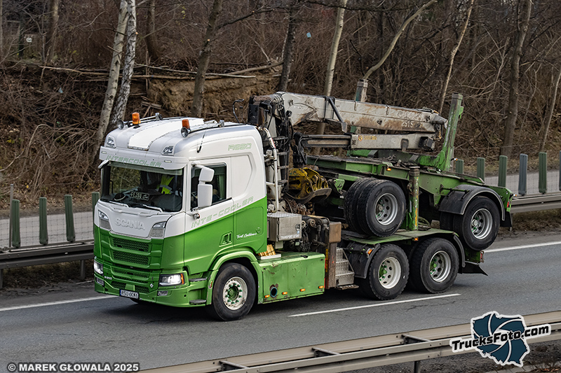 Scania R650 - Team Drewnoland.jpg