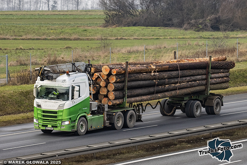 Scania R650 V8 - Team Drewnoland.jpg