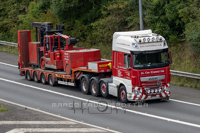 J.L.Cox Cranes1.jpg