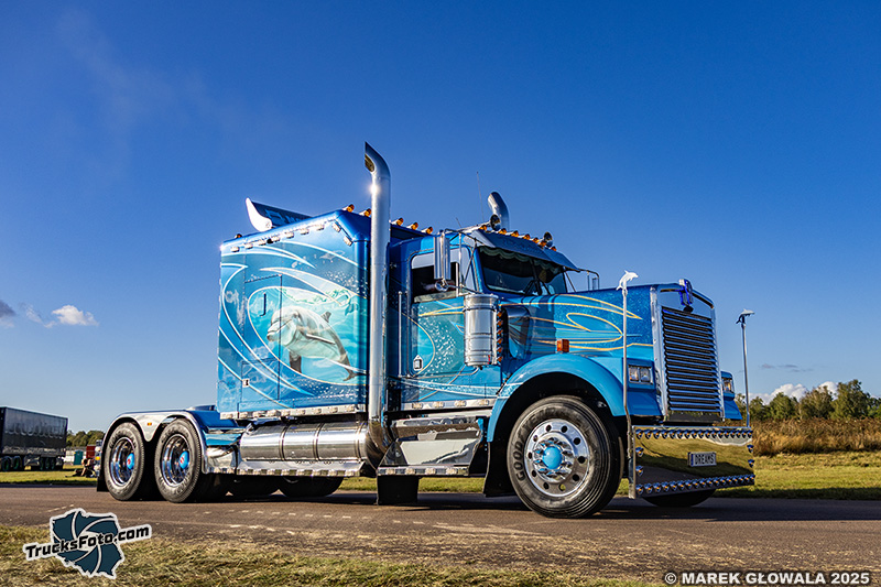 Kenworth W900 Molanders Dolphin Dreams.jpg