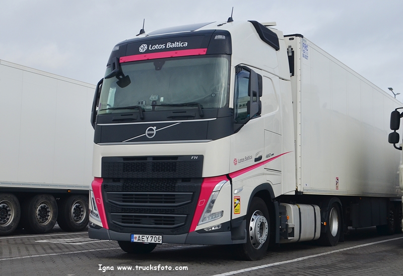 lotosbaltica.JPG
