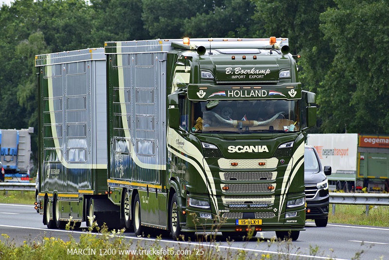 _DSC0733 B.BOERKAMP-crop-SCANIA S650 V8 LIVESTOCK.JPG