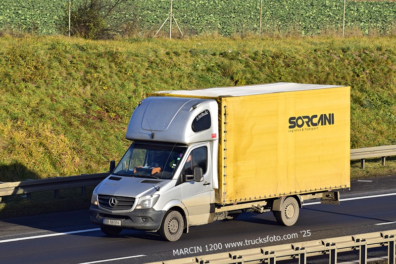 _DSC7334 SORCANI-crop-SPRINTER.JPG