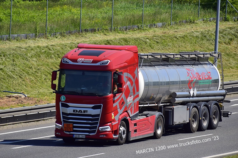 _DSC4375 REVESZ-crop-DAF XG.JPG