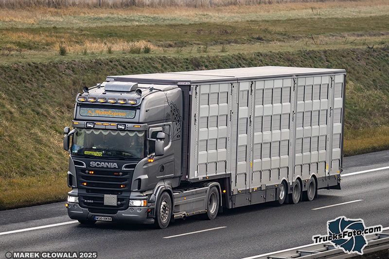 Scania R560 V8 - MarioExpress.jpg