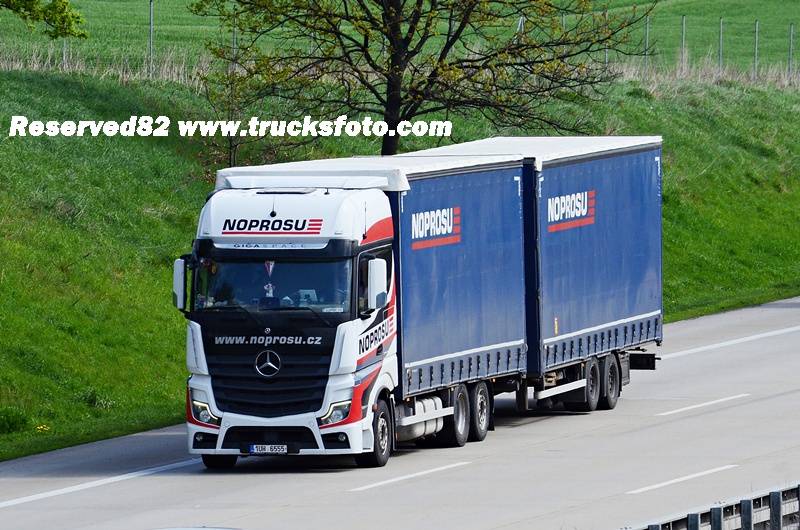 DSC_1177 NOPROSU (czechy).JPG