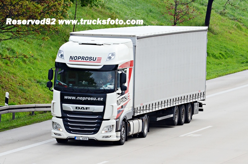 DSC_8750 NOPROSU (czechy).JPG