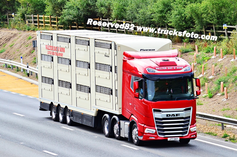 Day Walter & Sons.JPG