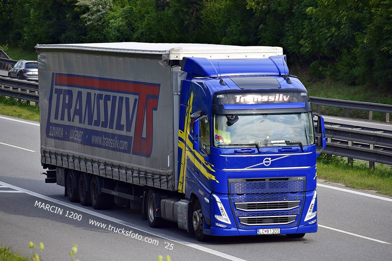_DSC7287 Transsilv-crop-VOLVO FH5.JPG