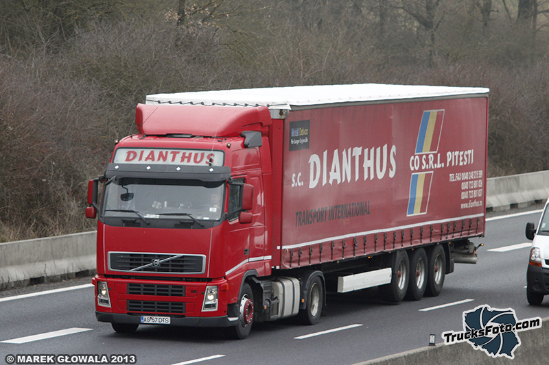 Volvo FH2 - Dianthus.jpg