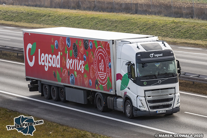 Volvo FH5 - Legsad Berries.jpg