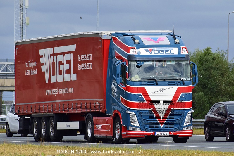 _DSC6777 VOGEL-crop-VOLVO FH4.JPG
