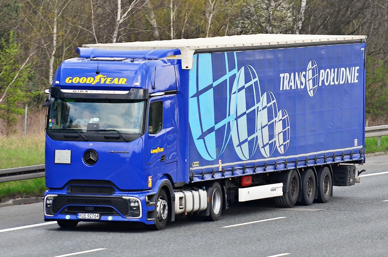 DSC_4277 Good Year.JPG