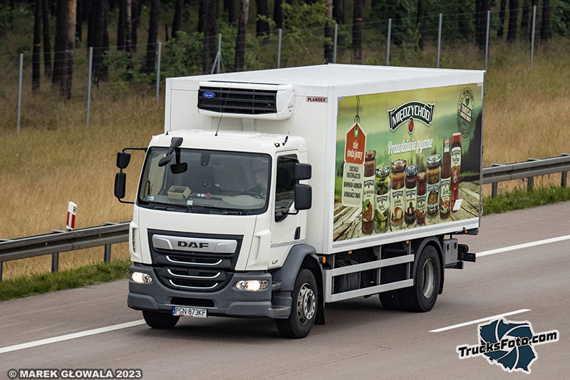 DAF LF - Twój Międzychód.jpg