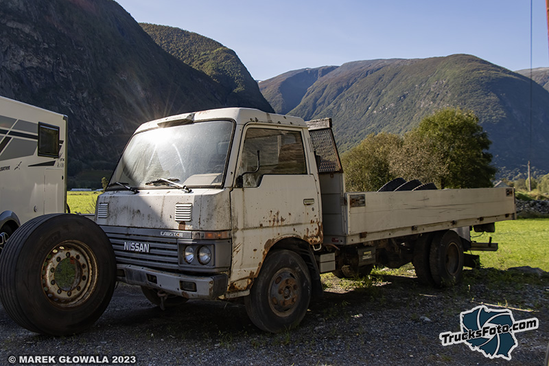 Nissan  Cabstar.jpg