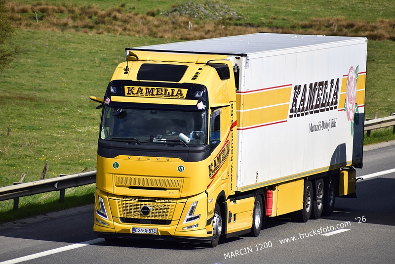 _DSC6486 KAMELIA-crop-VOLVO FH AERO.JPG