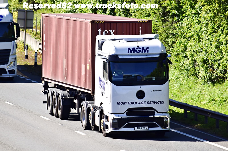 _DSC0229 MGM.JPG