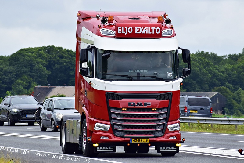 _DSC0106 ELJO EXALTO-crop-DAF XG.JPG