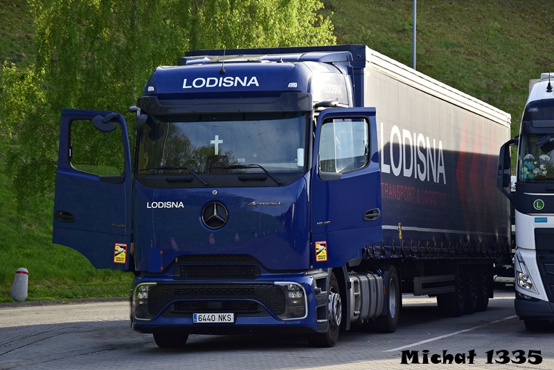 _DSC7484-crop -LODISNA ActrosL.JPG
