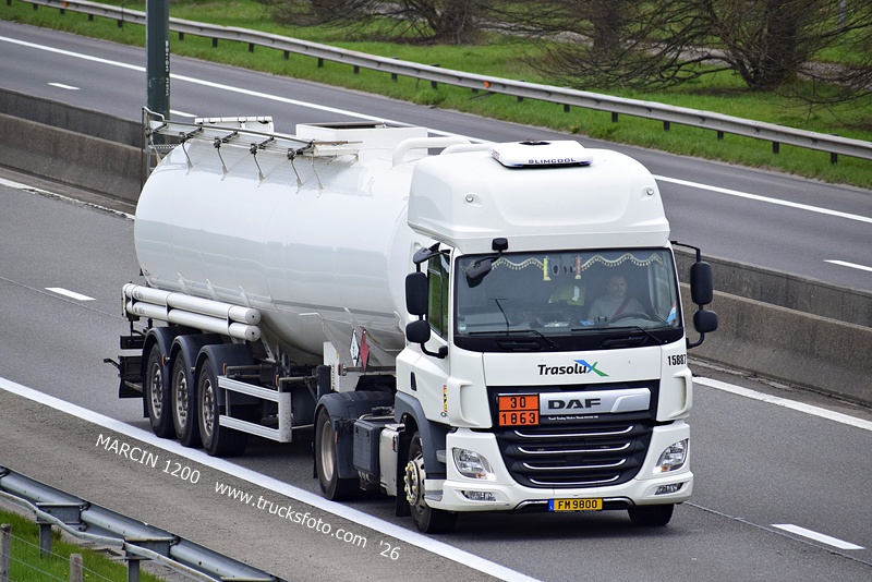 _DSC4733 TRASOLUX-crop-DAF CF.JPG