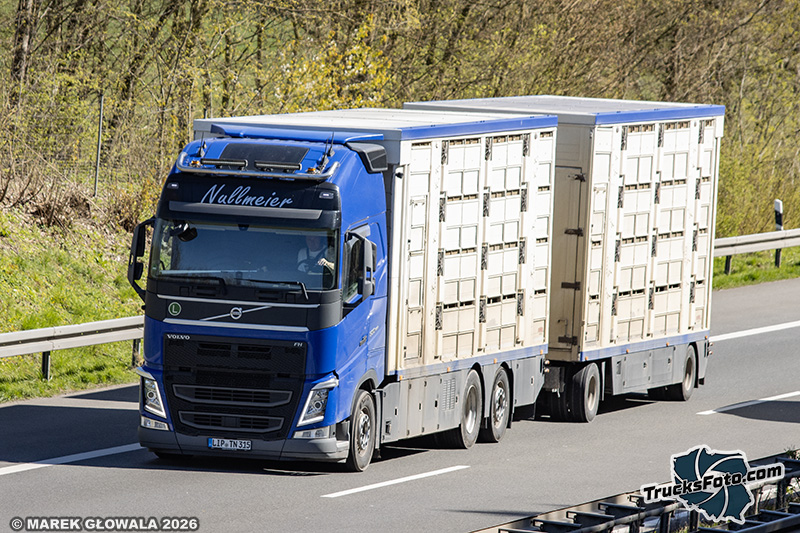 Volvo FH4 - Nullmeier.jpg
