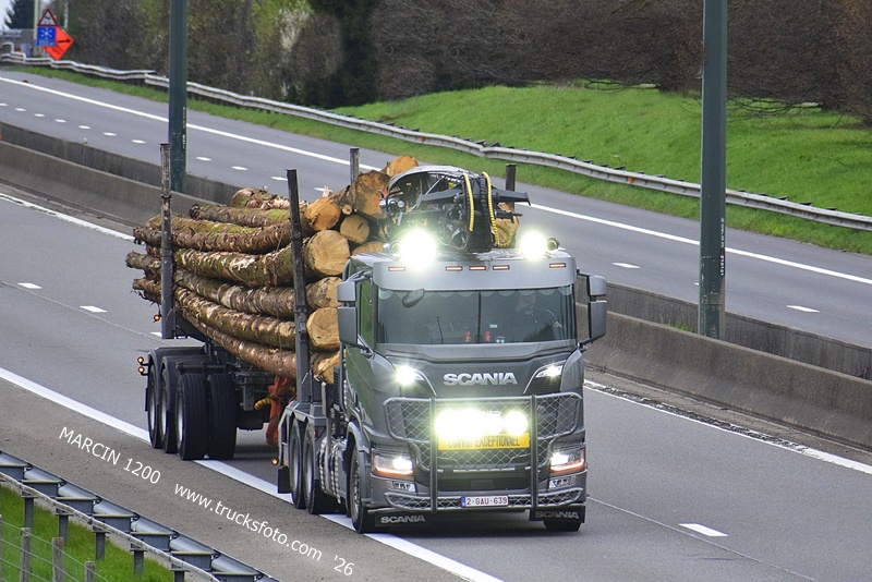 _DSC4715 DREWNO-crop-SCANIA R NG.JPG
